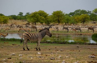 688 Namibia Okt 2006 .JPG
